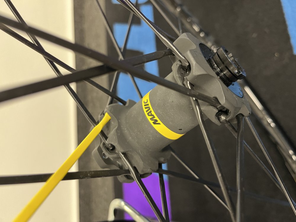 Mavic crossmax pro cheap 29