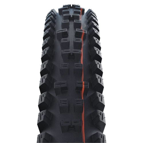 Schwalbe Tacky Chan Evolution Super Trail Soft