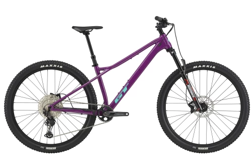 Gt hardtail 29 sale