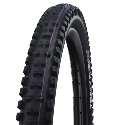 Schwalbe Tacky Chan Evolution Super Gravity Ultra Soft