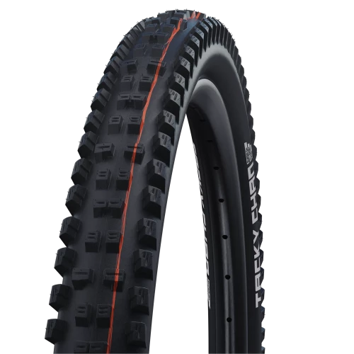 Schwalbe Tacky Chan Evolution Super Trail Soft